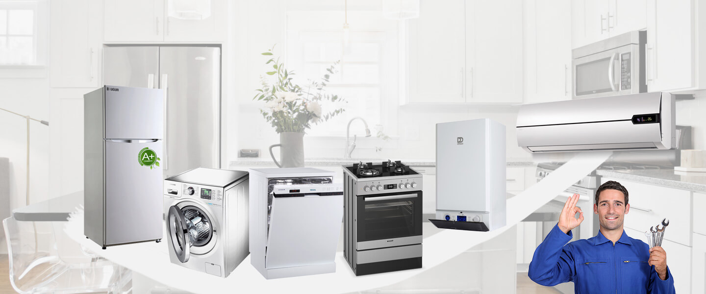 Koçarlı Protherm Servisi